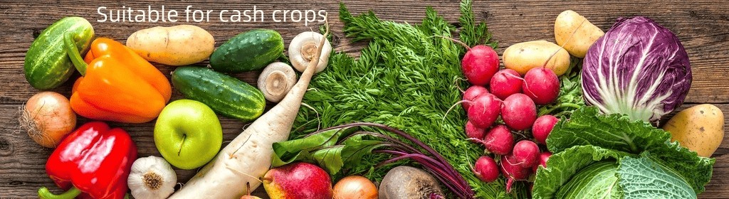 Mop-Sop-Based-NPK-Compound-Fertilizer-14-14-14-Water-Soluble-Suitable-for-Economical-Crops (1).png