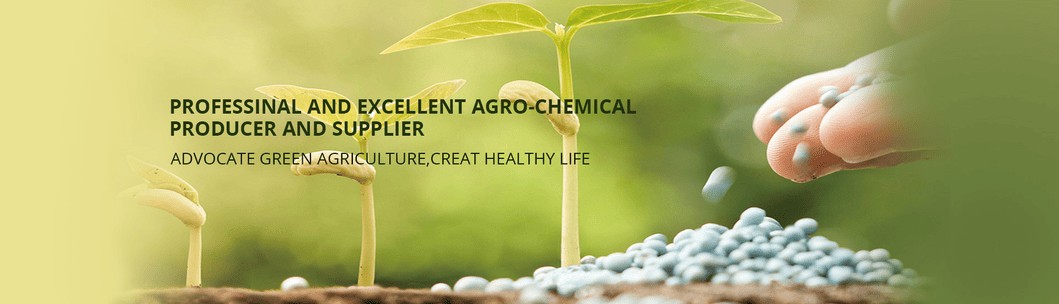 Mop-Sop-Based-NPK-Compound-Fertilizer-14-14-14-Water-Soluble-Suitable-for-Economical-Crops.png