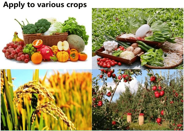 Direct-Sale-Quality-DAP-18-46-0-at-Low-Prices-Suitable-for-Multiple-Farming-Types- (6).png