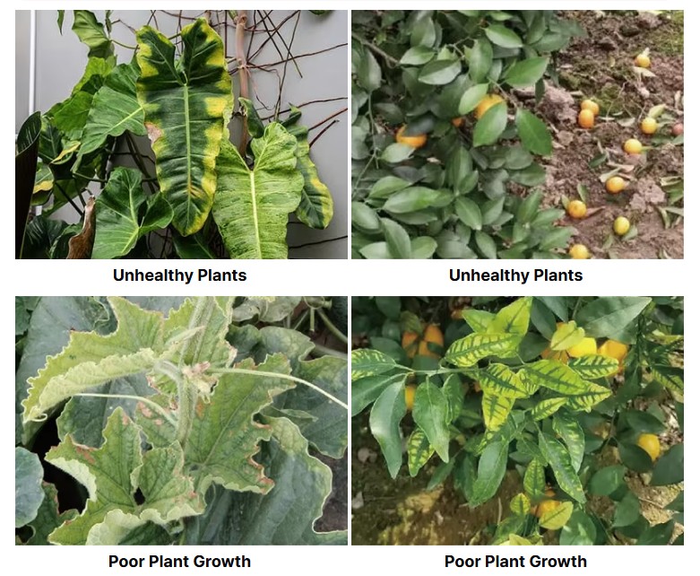 f3cb51ec3364c73d0007f2b741e3a120