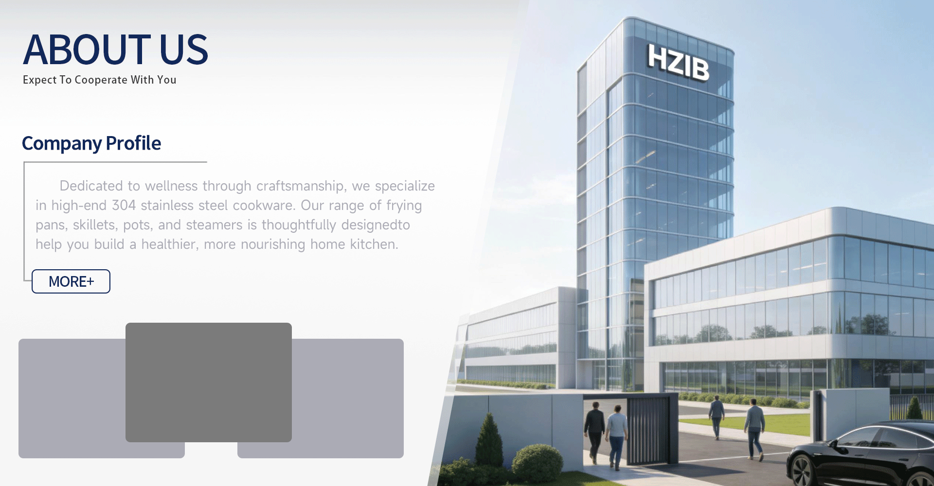 نبذة عن الشركة