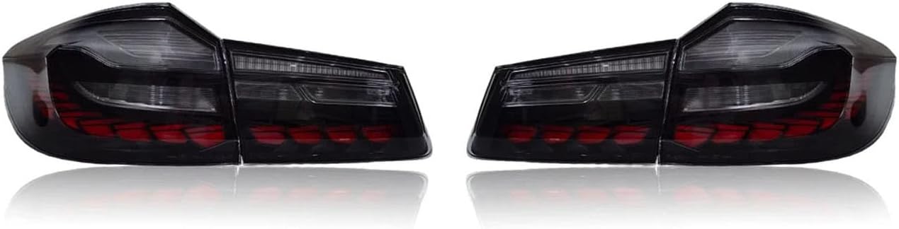 Car Rear Tail Light For BMW 5 Series G30 G38 2018 2019 2020