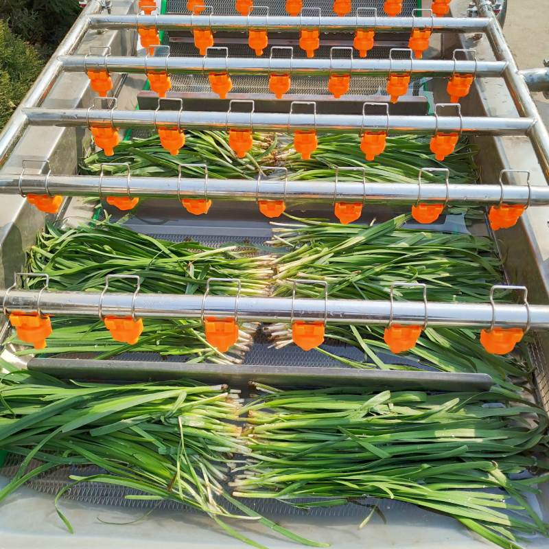 Ligne d'épluchage industrielle : quels légumes justifient un épluchage automatisé ?