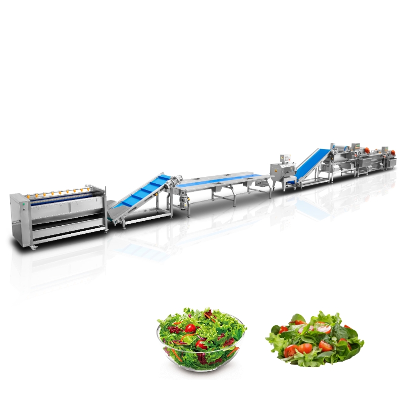 Lignes de transformation pour salades et légumes-feuilles