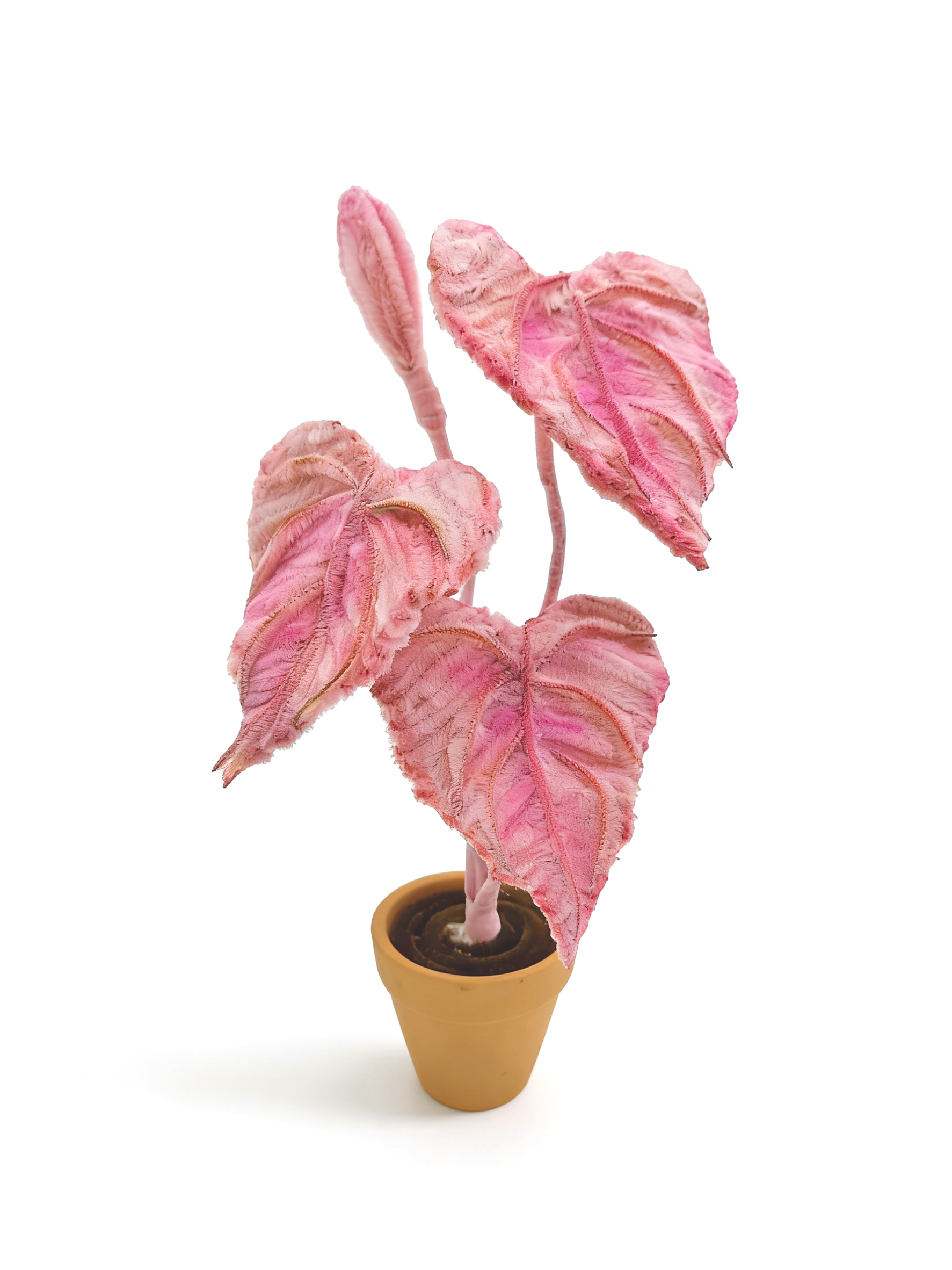 Kit de manualidades con limpiapipas, set DIY de tallos de chenilla de planta de alocasia rosa, materiales creativos de arte para decoración de habitaciones, kit de manualidades al por mayor para niños y adultos, bonito regalo en tonos pastel para amantes de las plantas