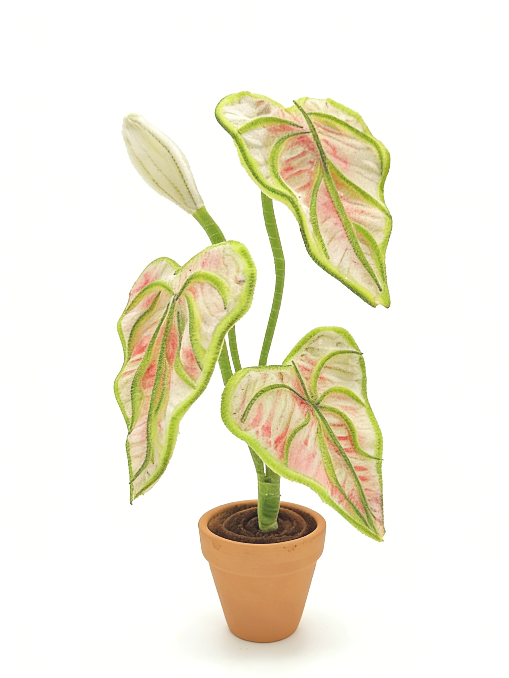 Kit de manualidades con limpiapipas, juego DIY de planta caladium blanca verde rosa con tallos de chenilla, suministros de arte para decoración creativa de habitaciones, kit de manualidades al por mayor para niños y adultos, regalo pastel para amantes de las plantas