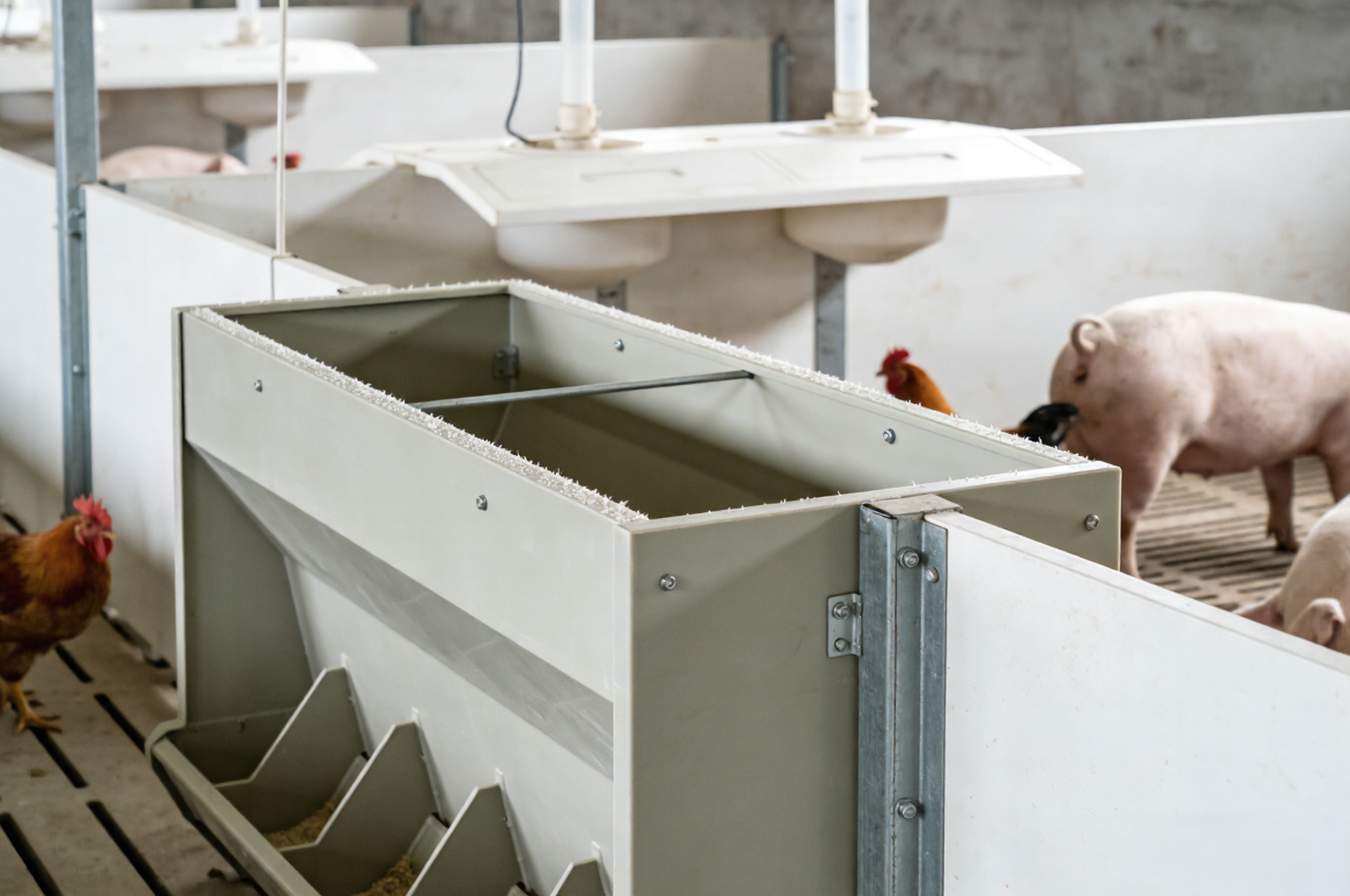 PP鱼池循环水养殖系统