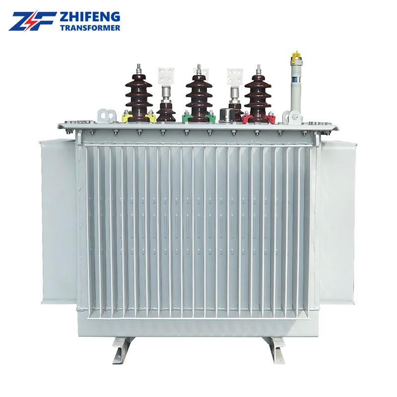 Oil-immersed transformer