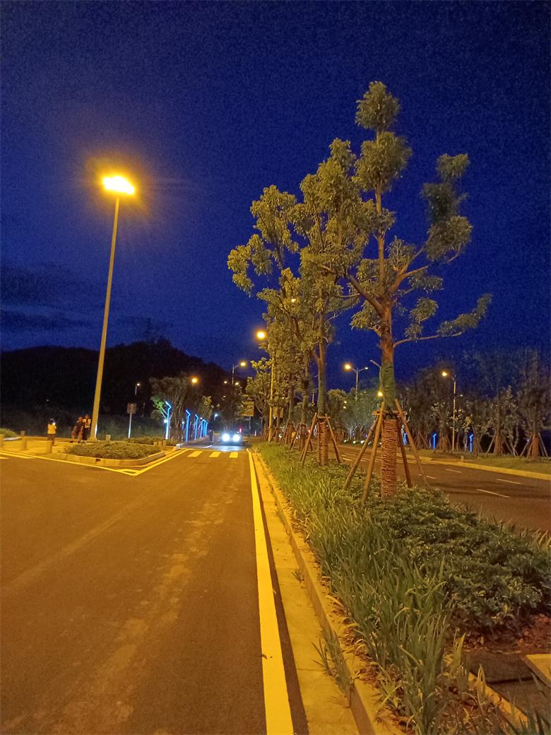 Application of Landscape Streetlights in a Forest Park in Jiangxi, China