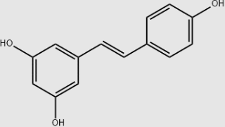 Resveratrol#501-36-0
