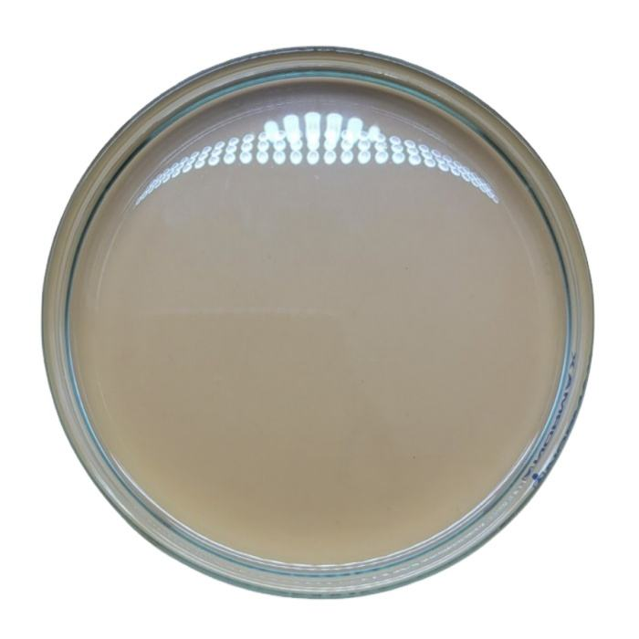 Cosmetic grade 99.7% pure vegetable glycerin