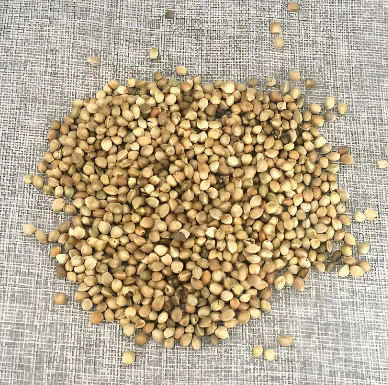 Hemp Seeds