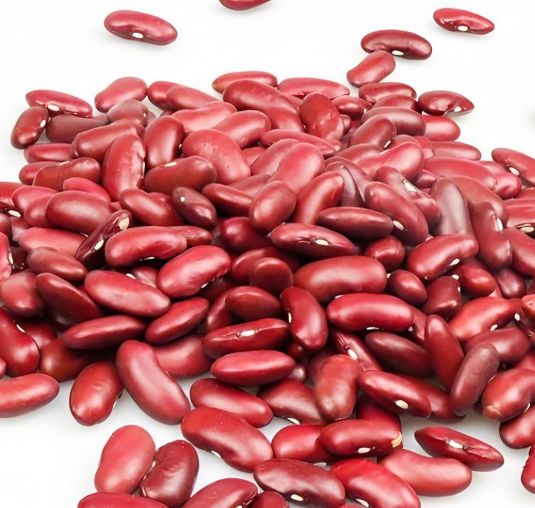 Dark Red Kidney beans