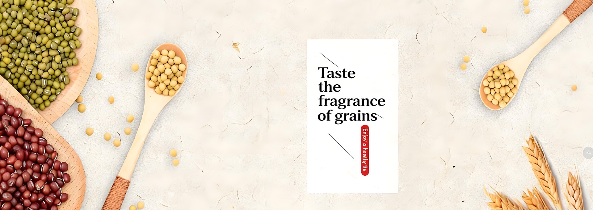 048b93b5-b554-4817-95bc-3462c36ba927