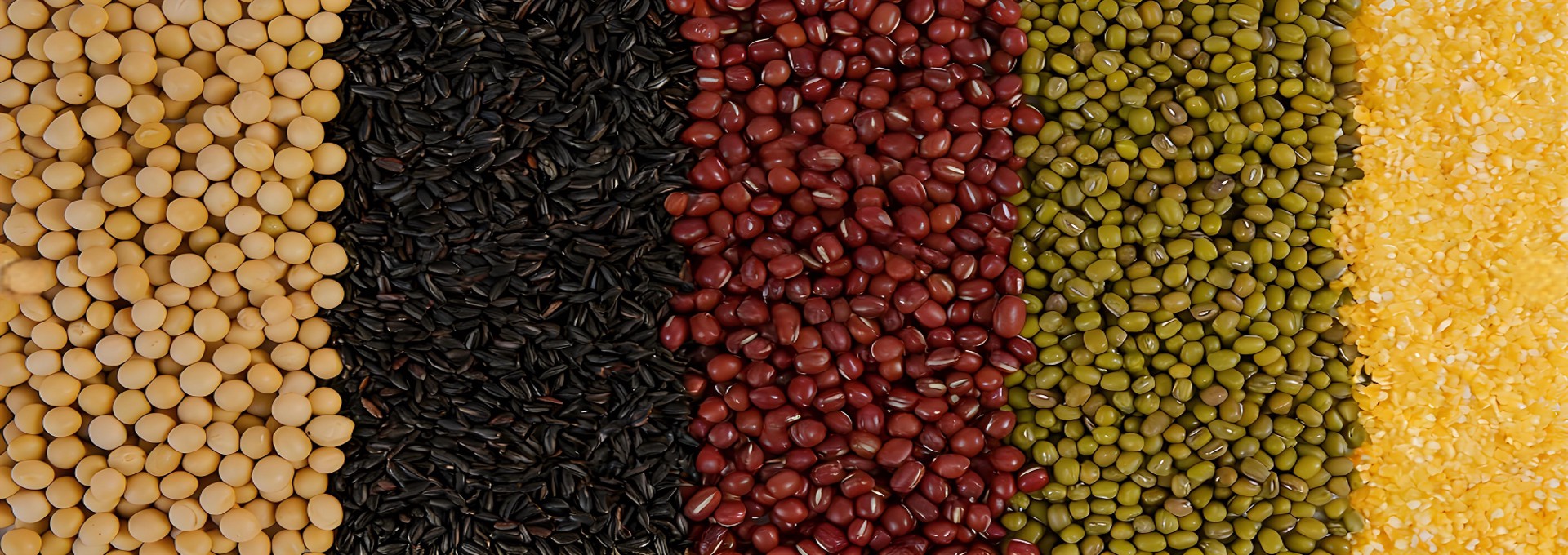 18dbc3d7-5fbb-4fc7-b818-2998ecaf0236