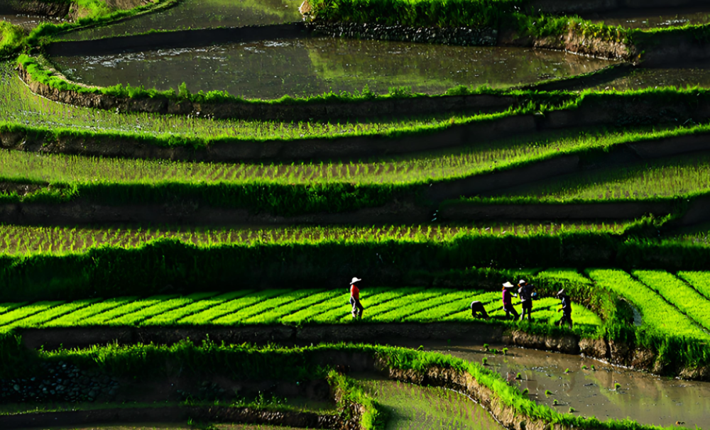 Partners with ASEAN Farmers for Regenerative Agriculture Program