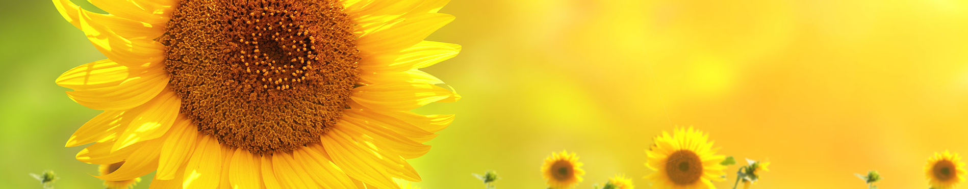 b75b5451-3494-497e-8cf1-6dd5f20df9e2