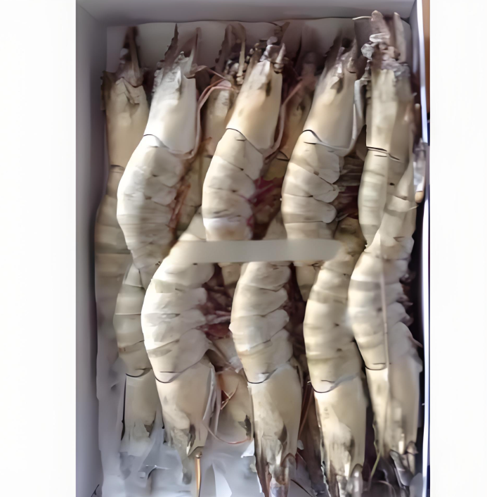 FROZEN SHRIMP