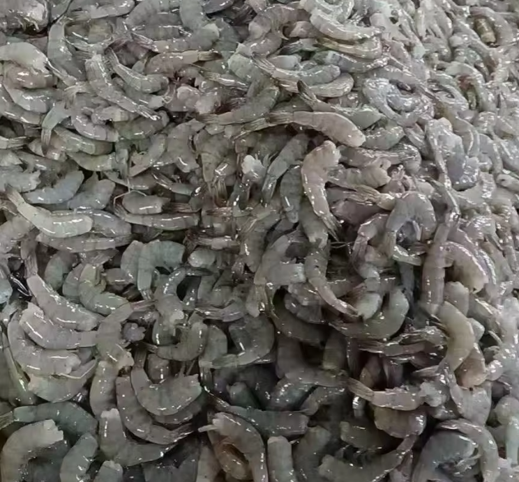 Frozen Vannamei Shrimp