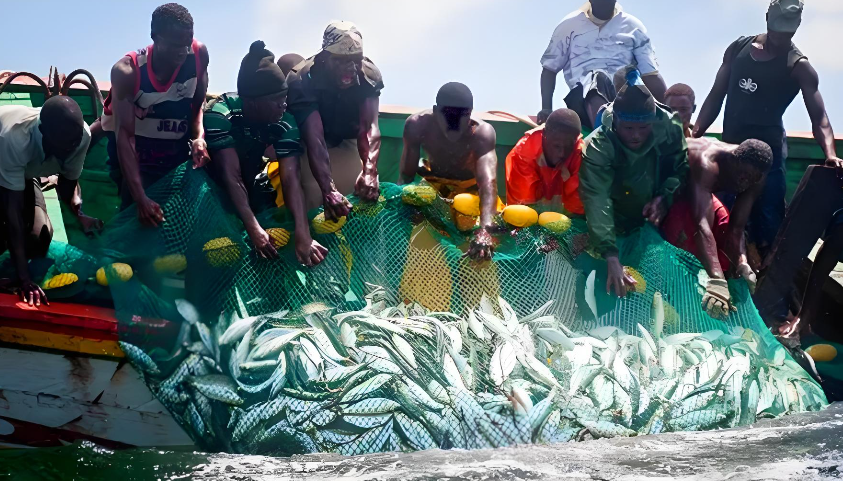 5e625862-762a-43e4-a37a-d003d5bb3699