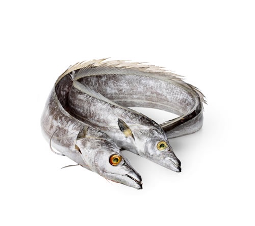  LINEA HEALTHCARE INTERNATIONAL LTD Achieves HACCP Certification for Seafood Processing