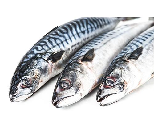 LINEA HEALTHCARE INTERNATIONAL LTD Partners with Local Fishermen to Promote Sustainable Fishing Practices