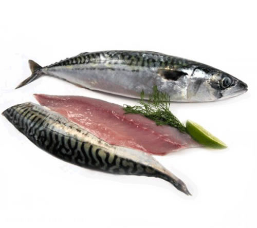 LINEA HEALTHCARE INTERNATIONAL LTD Secures Major Export Contract to the European Union