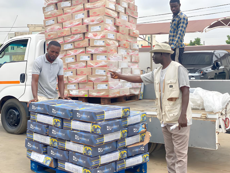 443c6628-72b5-4fb2-add5-8a1d99447f99