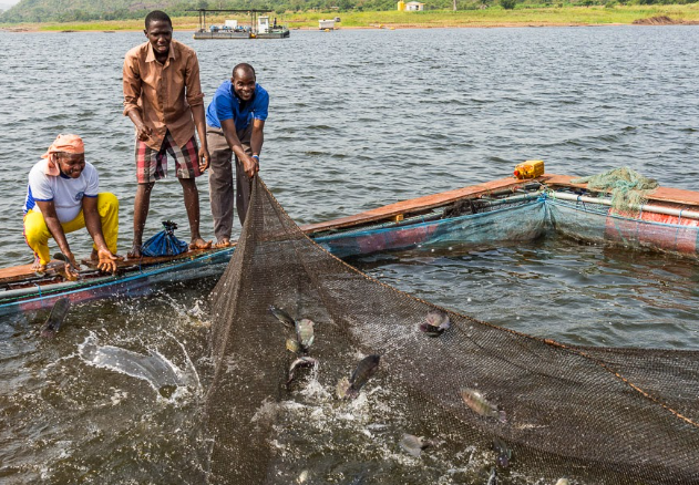 98ac59f9-c58a-42e8-93d6-2ec97153d91e