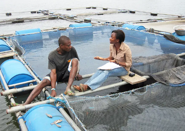 63bb920f-9498-4192-950e-597fe67f08fa