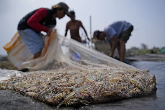 805a2fb3-7fa6-4eac-a9e7-9b292ea77d6b