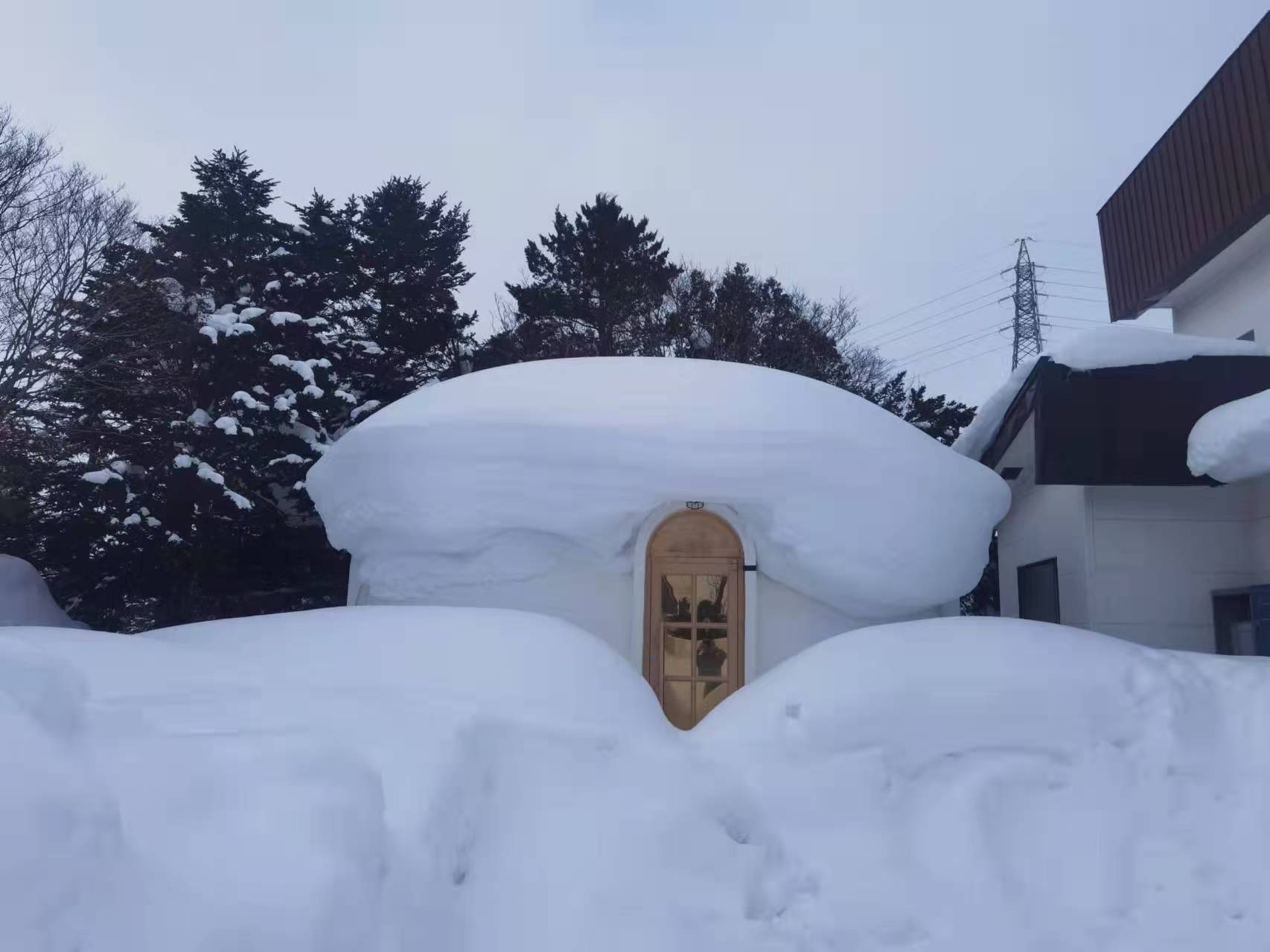 微信图片_20260310151337_113_3279