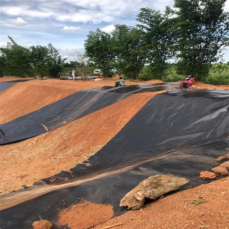HDPE Smooth Geomembrane