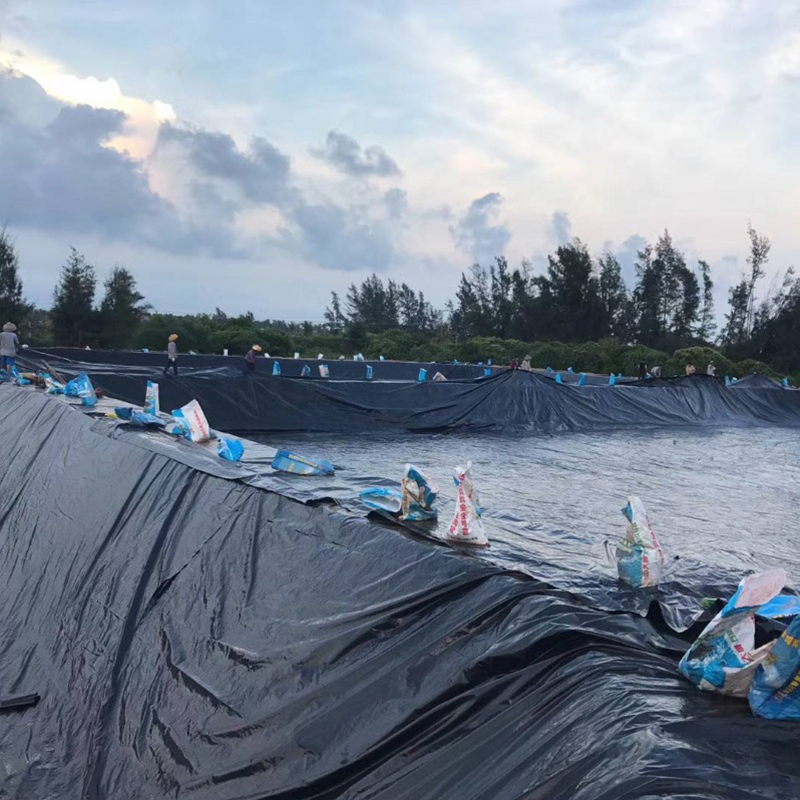 HDPE textured geomembrane