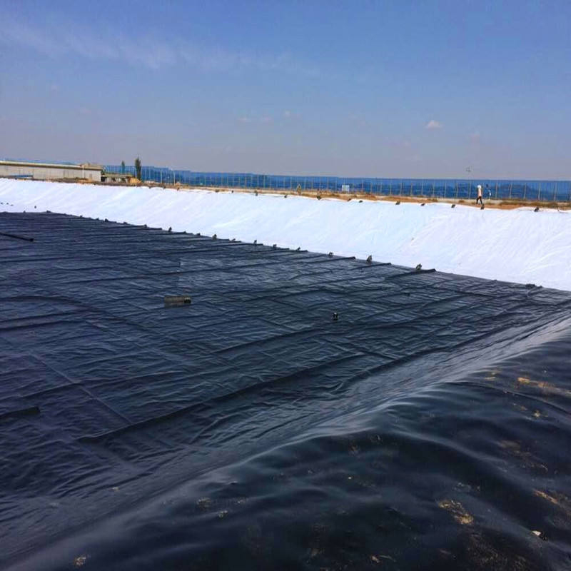 HDPE textured geomembrane