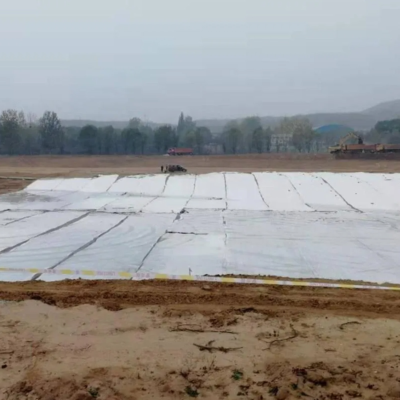 Geotextile-Geomembrane Composite (GGC)
