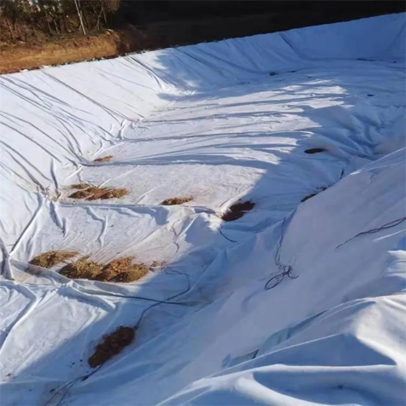  PP short fiber needle punched nonwoven geotextile