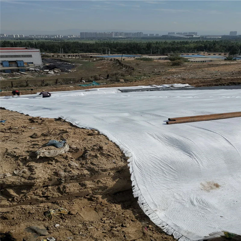 PP Filament Woven Geotextile