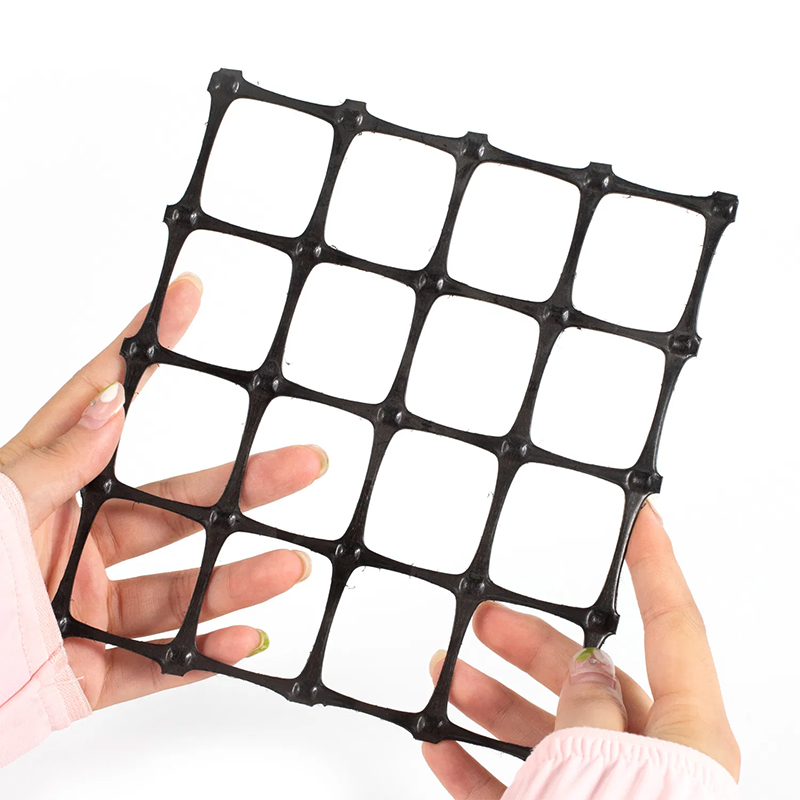 Polyester Geogrid