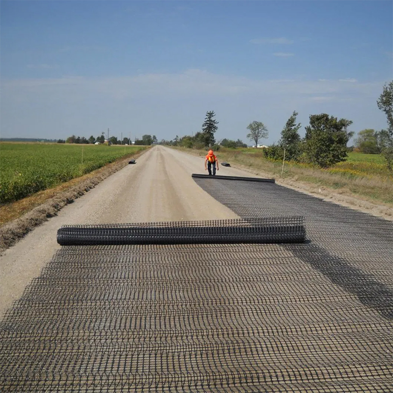 Polyester Geogrid