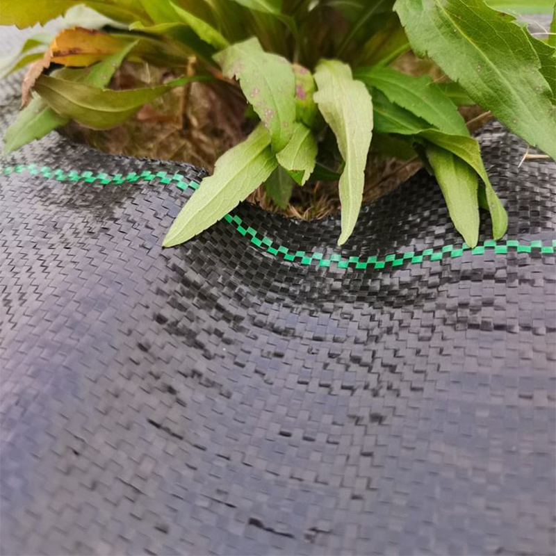 PP Woven Anti-Grass Mat