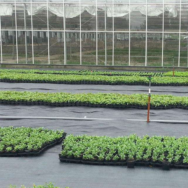 UV PP Woven Geotextile Fabric Prevent Weeds