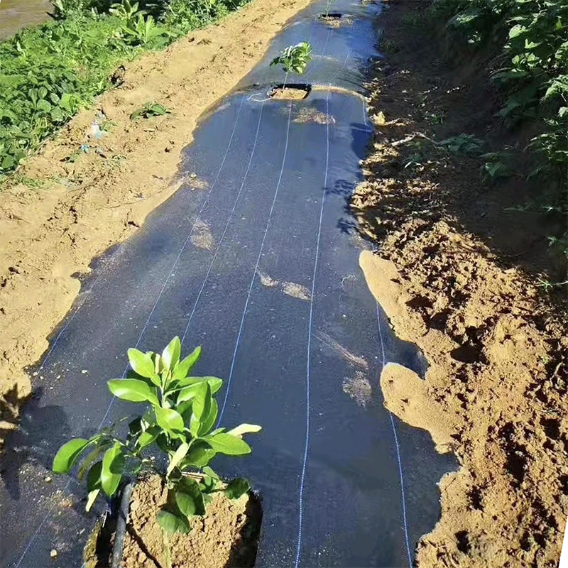 Anti-Grass Mat