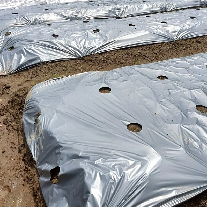 Ground Cover Mulch Film