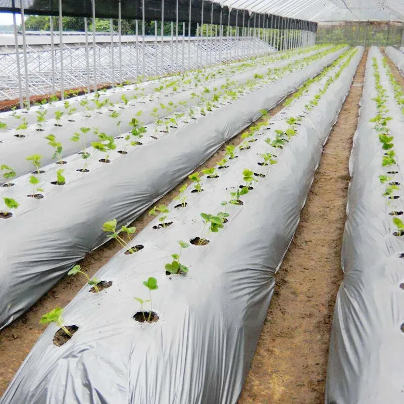 Ground Cover Mulch Film