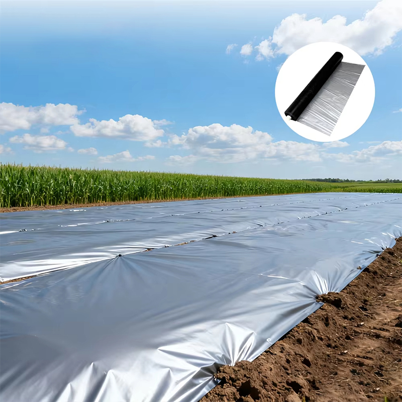 Plastic Mulch Film Roll