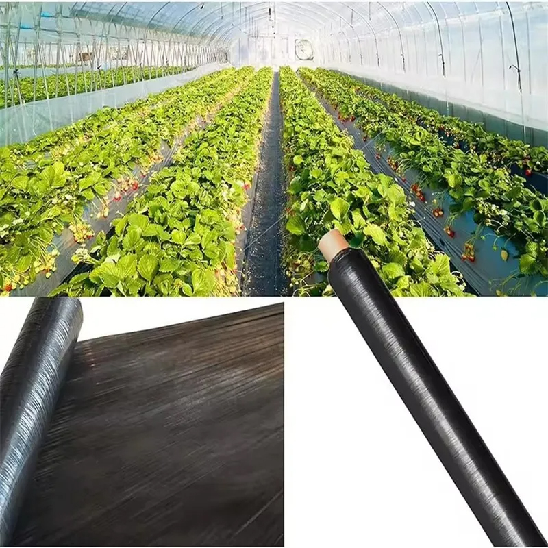 Mulch Film LLDPE