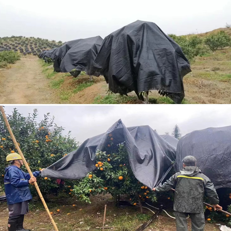 Plant Mesh Shade Fabric