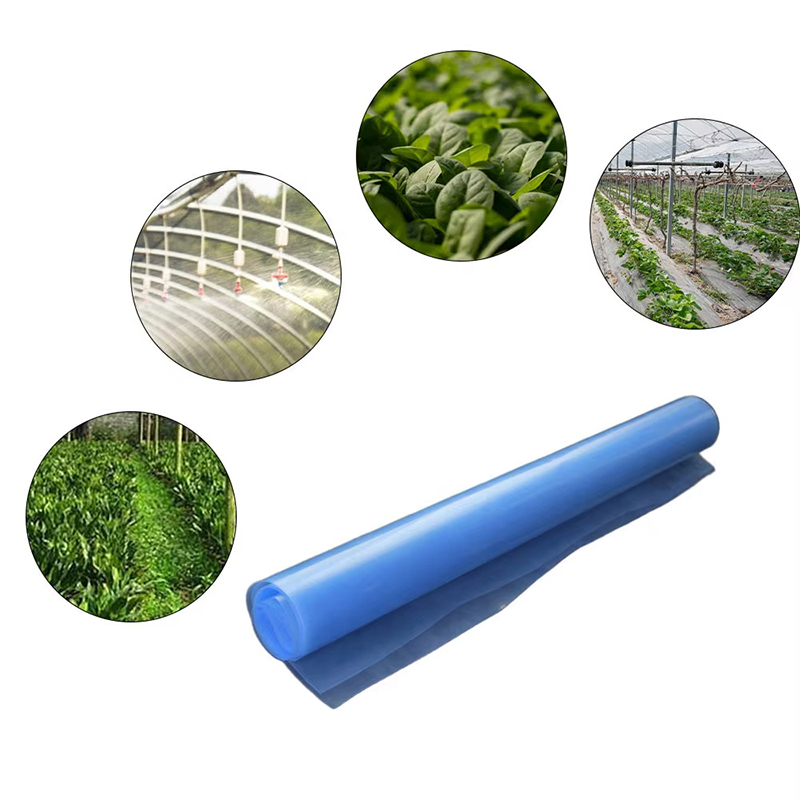 Polyethylene Greenhouse Film