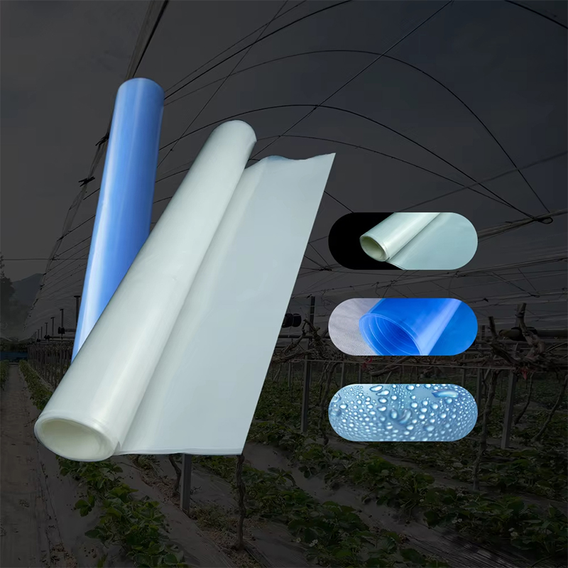 Polyethylene Greenhouse Film
